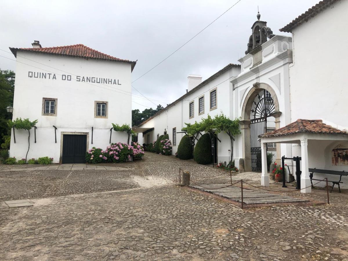 Bed and Breakfast Terra Luso Proche De Montejunto Cadaval Esterno foto