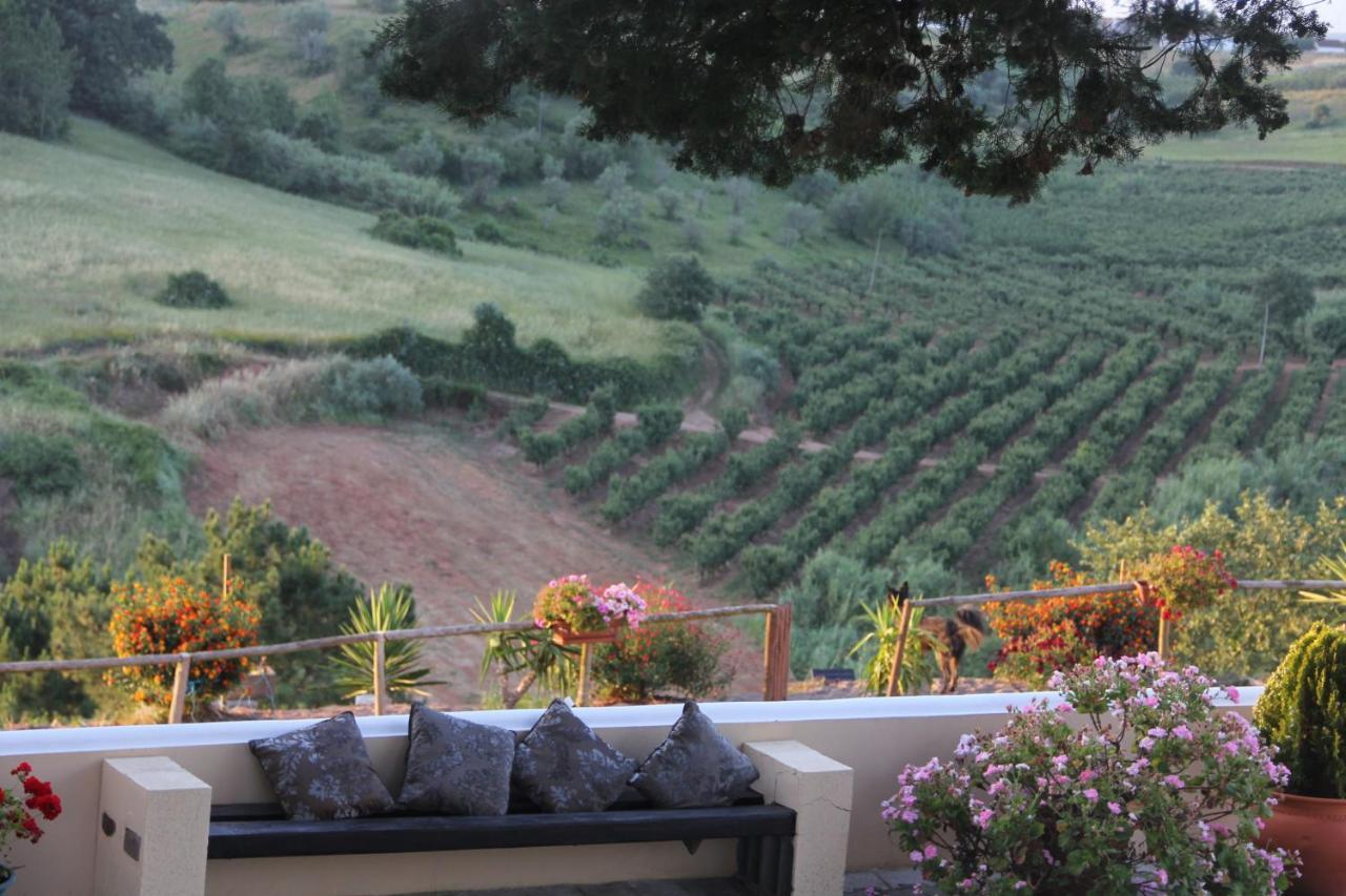 Bed and Breakfast Terra Luso Proche De Montejunto Cadaval Esterno foto